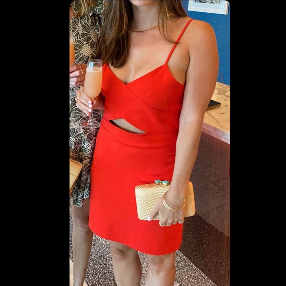 Zara Red Cut out Dress